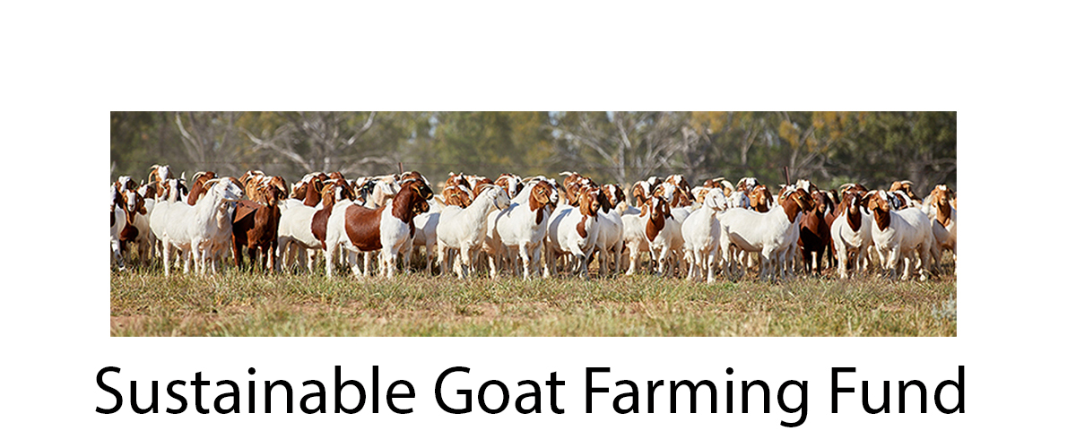 Sustainable Goat Fund